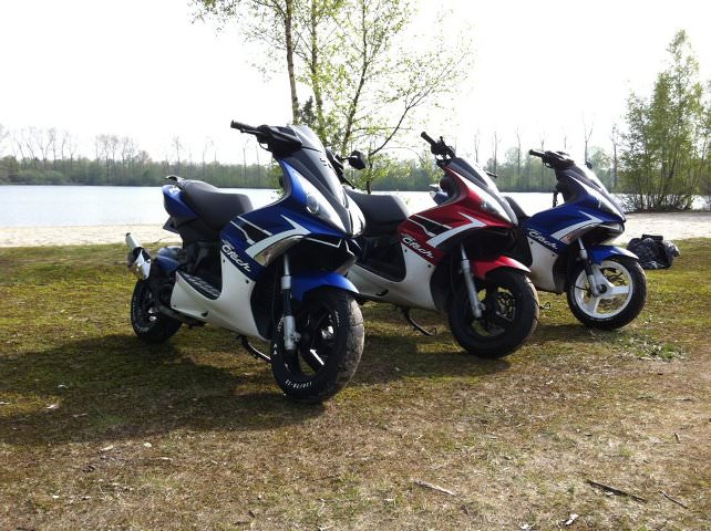 Muschis