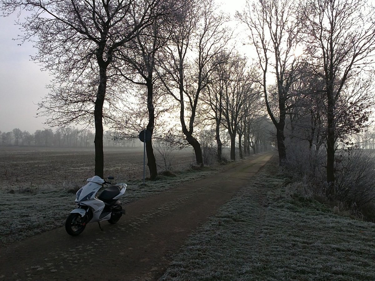 Winter -.-