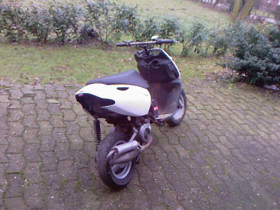 Paar Bilder