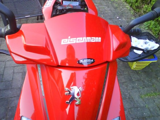 EISENMANN*_*