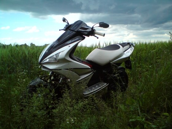 Der Scooter