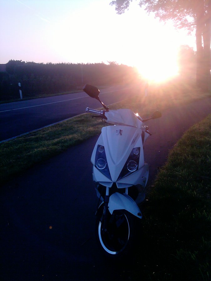 Joa mein Jetty :D