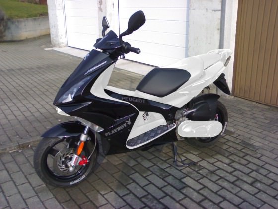 jap ziel 2011