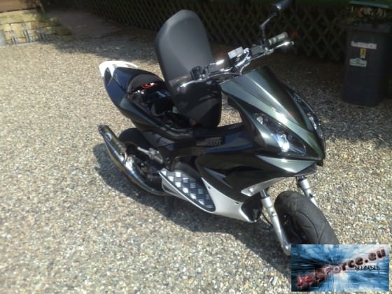 07042009503.jpg