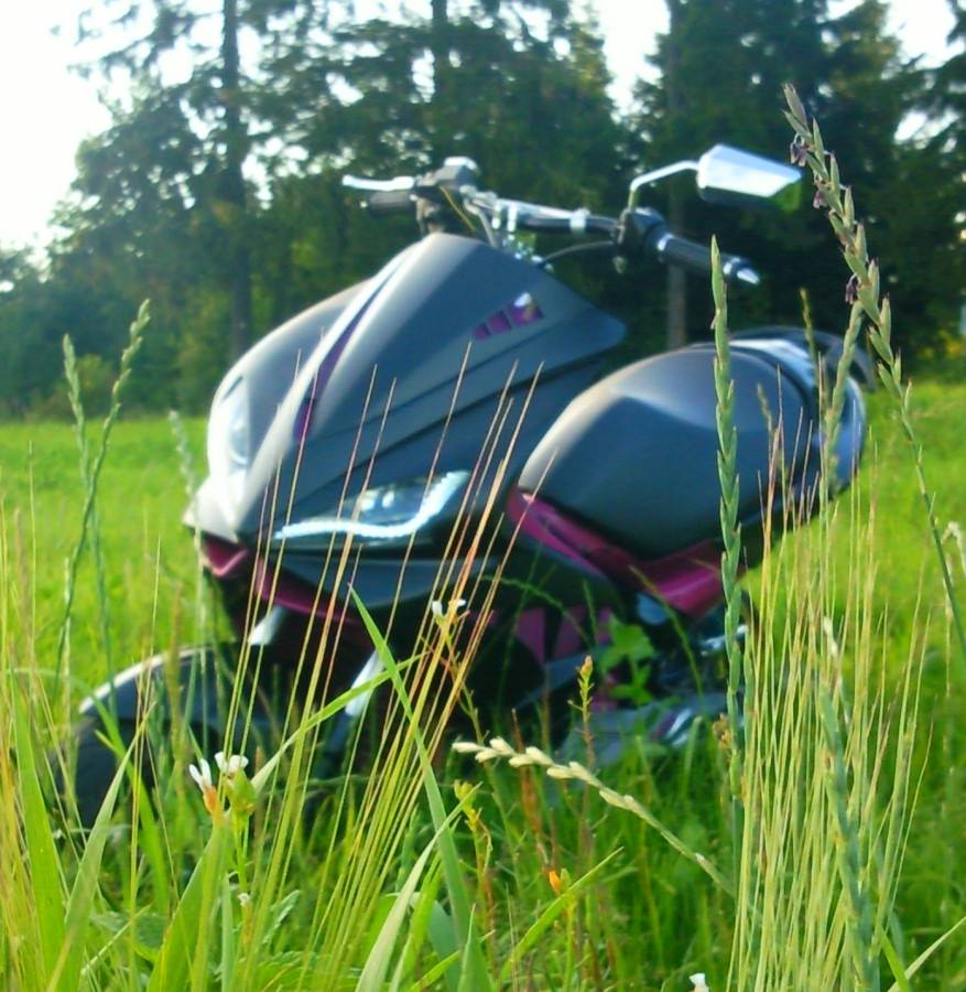 jo fotosession im feld :D morgen wird fertig abgestimmt und dann kommt video