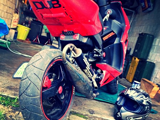 Black-Red Madness