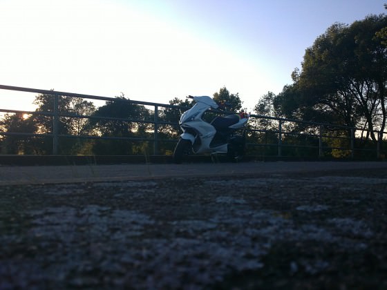 >>loVe<<