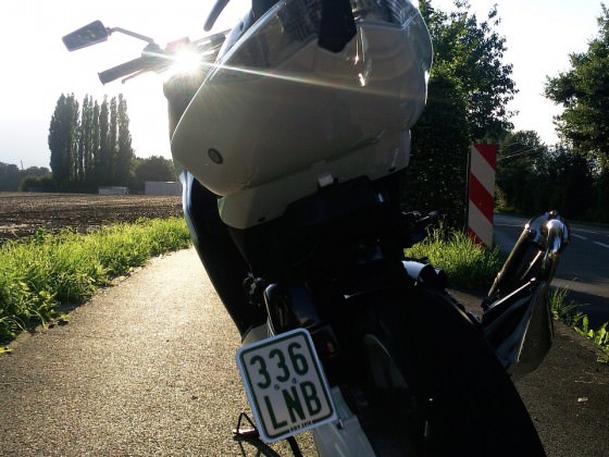 Bald ZX !