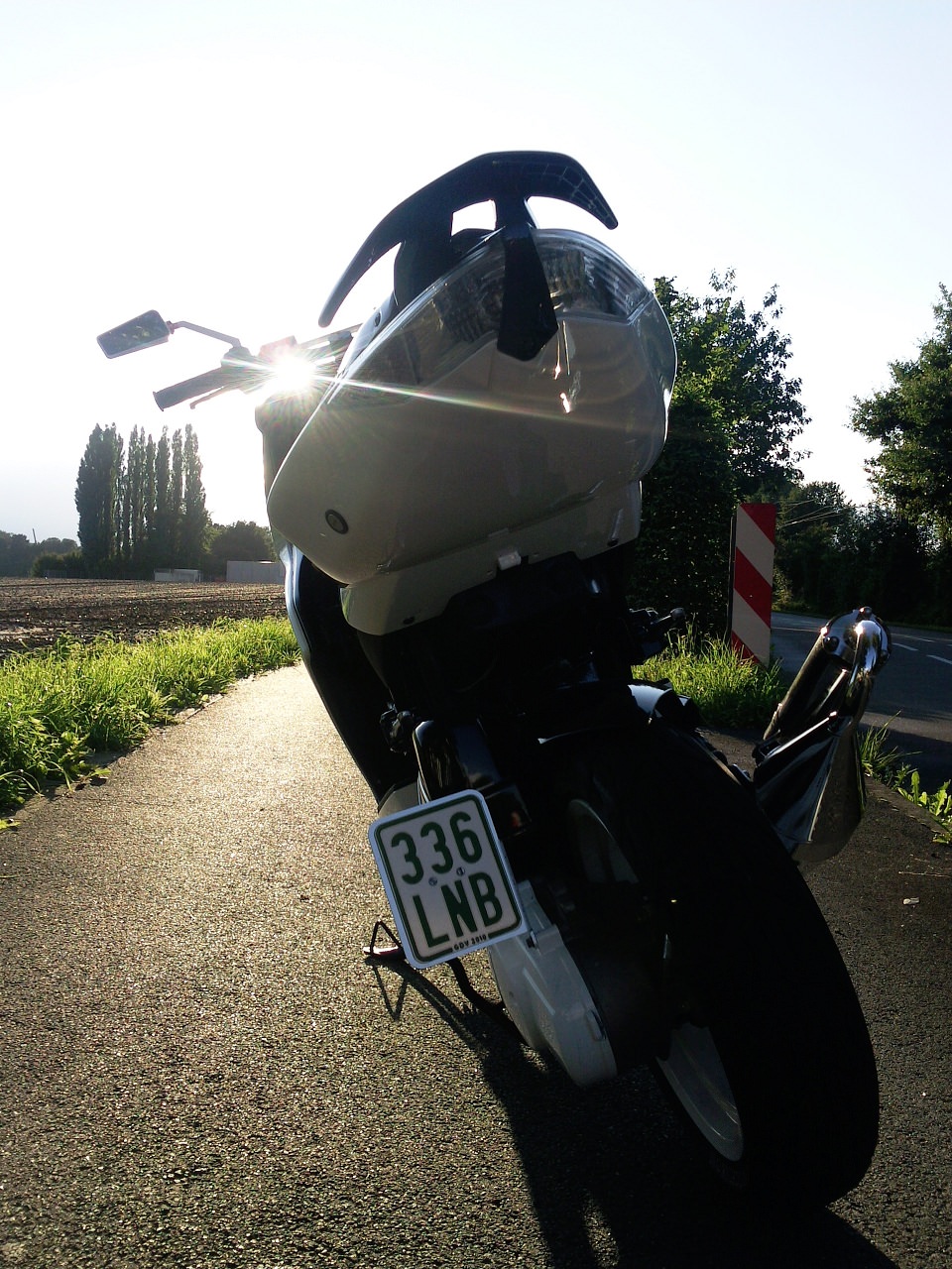 Bald ZX !