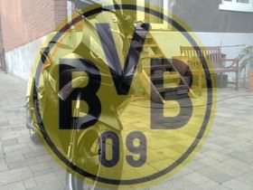Meister 2010/2011