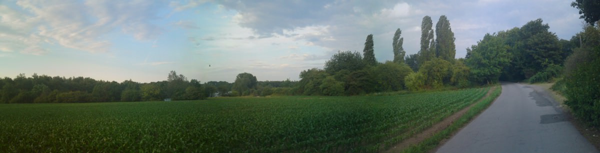 So macht heizen noch mehr Spaß. :) 30° im Schatten. :)