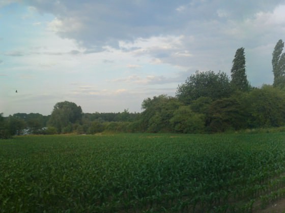 So macht heizen noch mehr Spaß. :) 30° im Schatten. :)