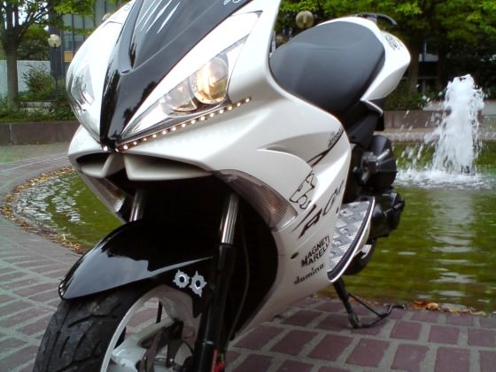 EINFACH Volker`s Roller