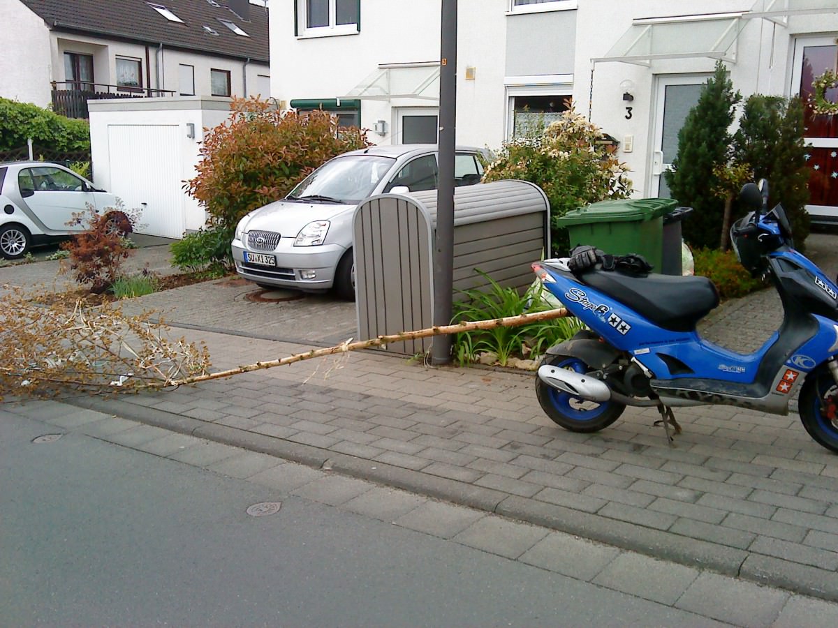 Tschüss Maibaum xD