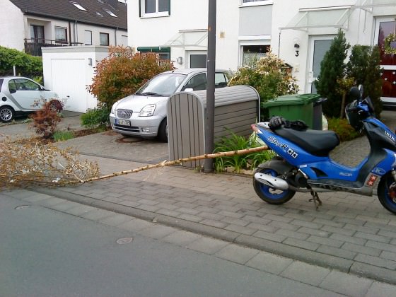 Tschüss Maibaum xD