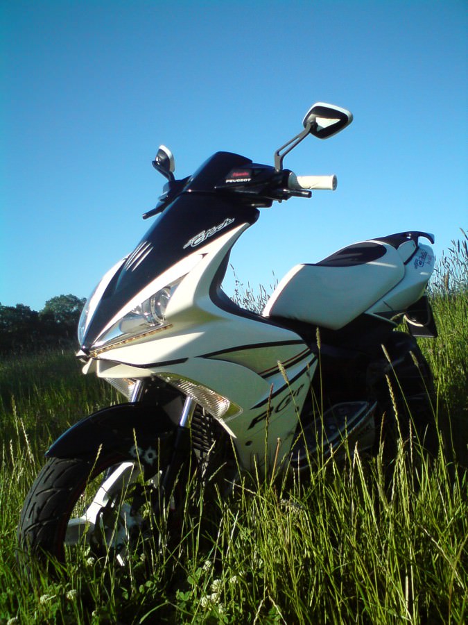 Der Scooter