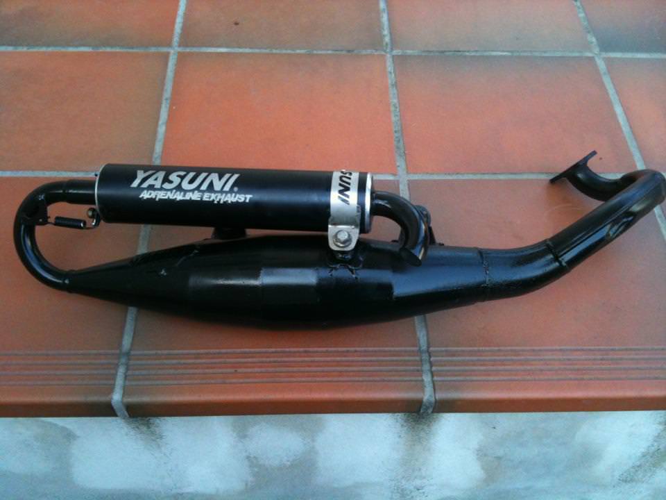 Yasuni R