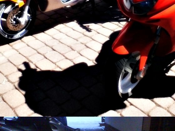 Downi Ja oder nein?