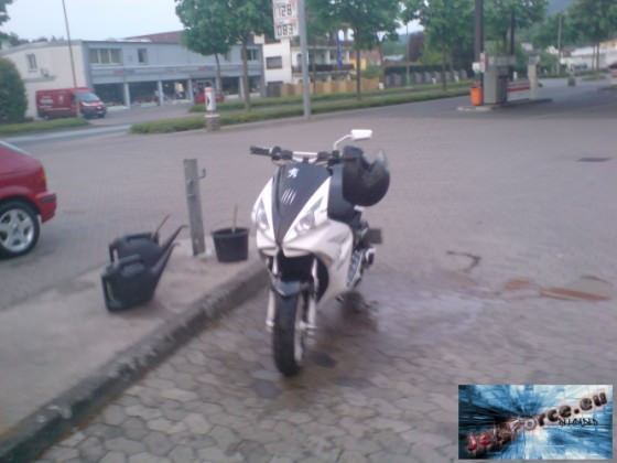 Downi^^