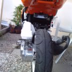poliert