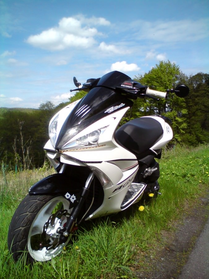 Der Scooter