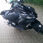 Mein neuer jetty 3 wochen alt =)