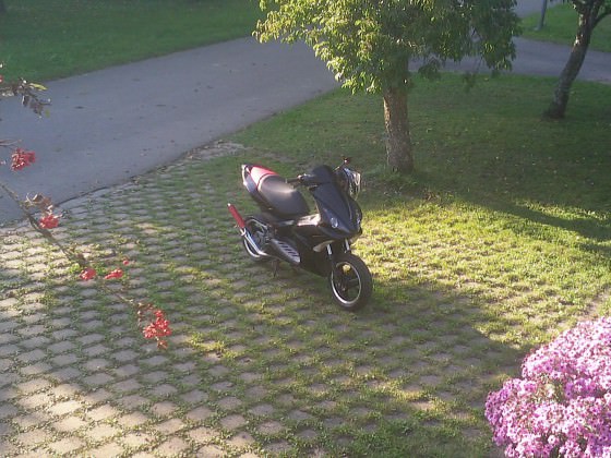 Verkleidung seit gestern dran ♥