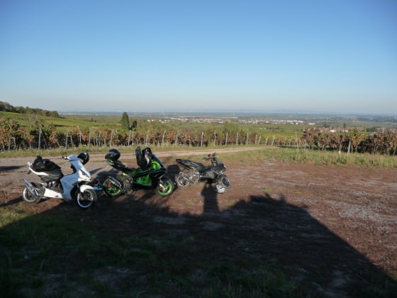 Tour über die Weinberge