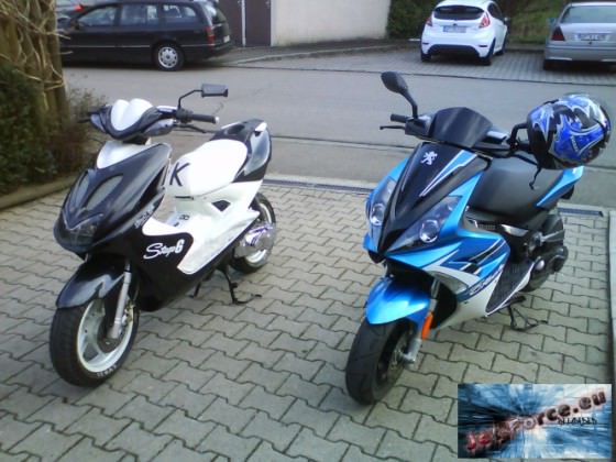 mein jetty und der rox vom kumpel