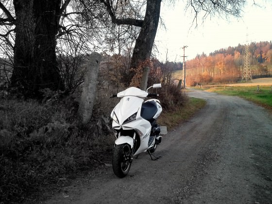 wald :)
