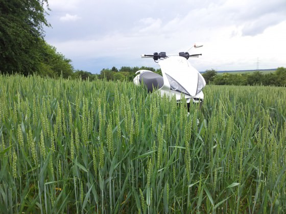 Bisschen im Feld geheizt :D