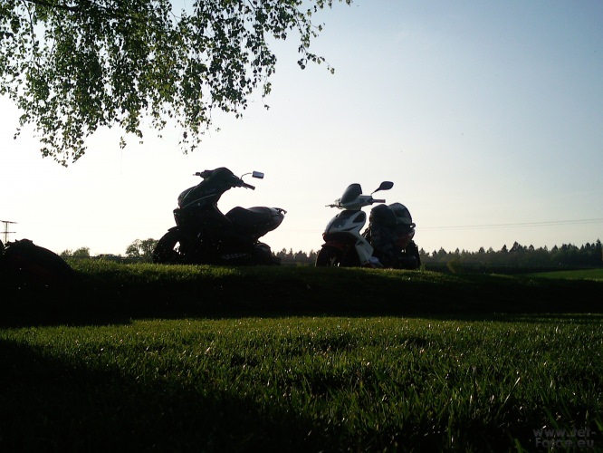 >> Sunset <<