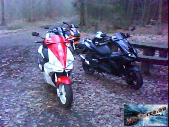 im wald bei unserm chillhouse^^