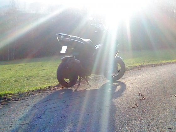 Ein sonniger Tag!:)