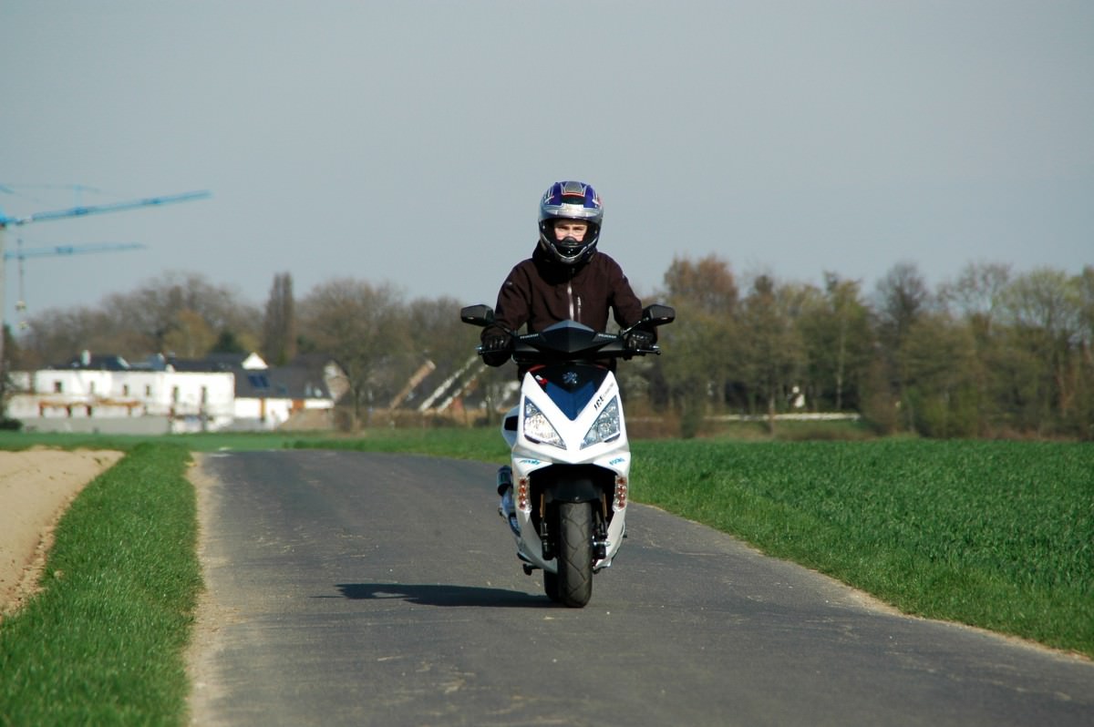 Speedy 3 <3