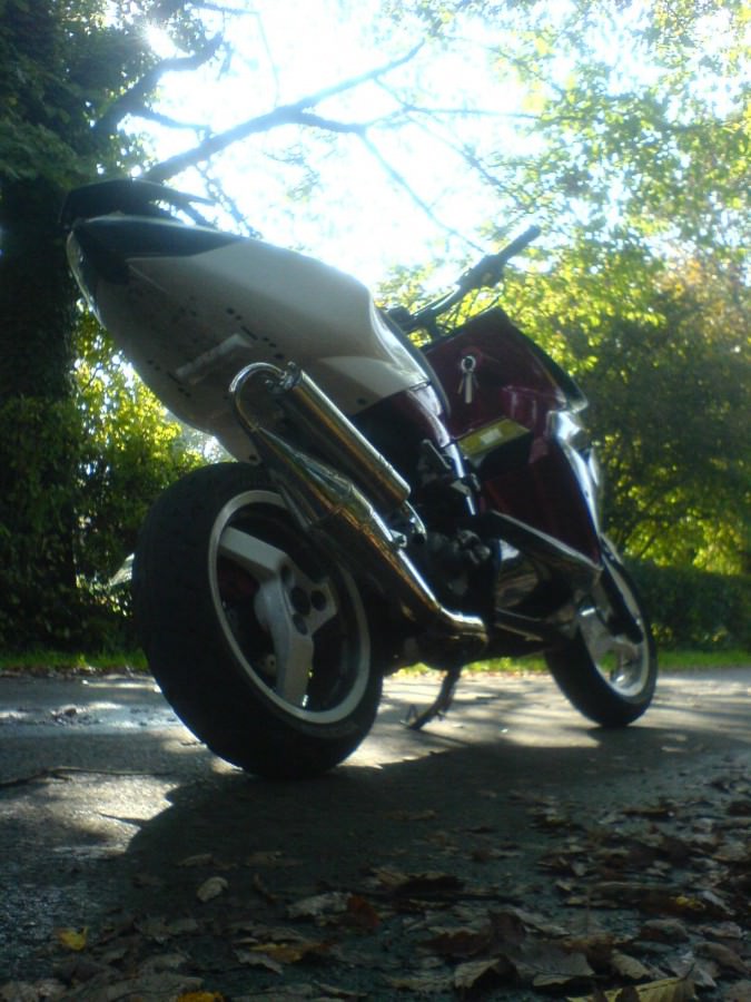 Herbst ♥