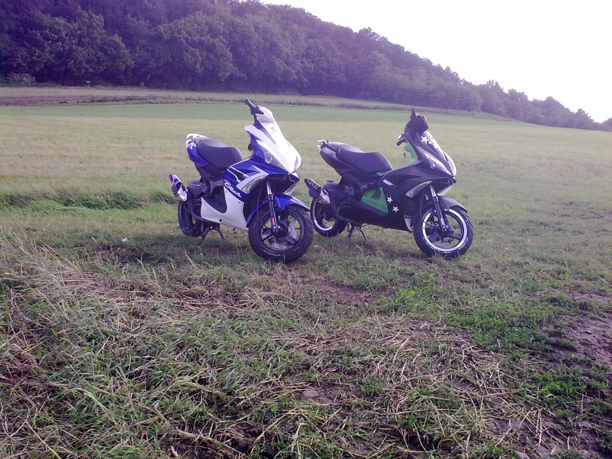 Heute Tour mit Krijo gemacht :)