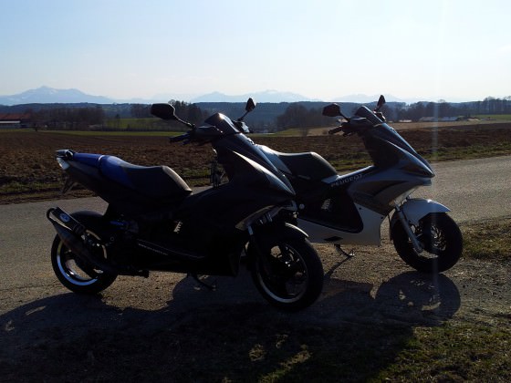 Unsere Babys