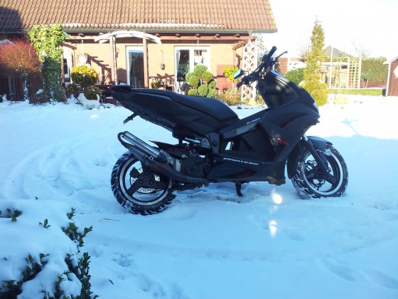Meiner im Schnee :D
