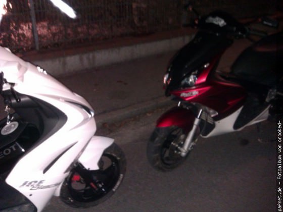 White vs Red