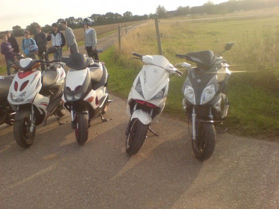ROLLER TOUR :DOWNIIB