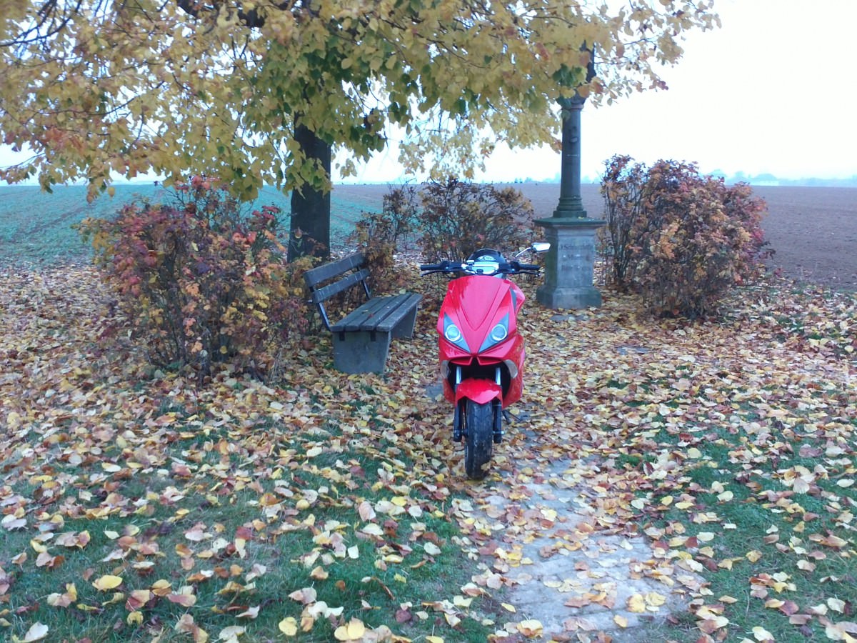Jap , der Herbst ist da :)