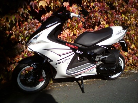 Der Scooter