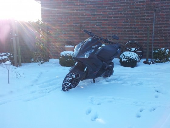Meiner im Schnee :D