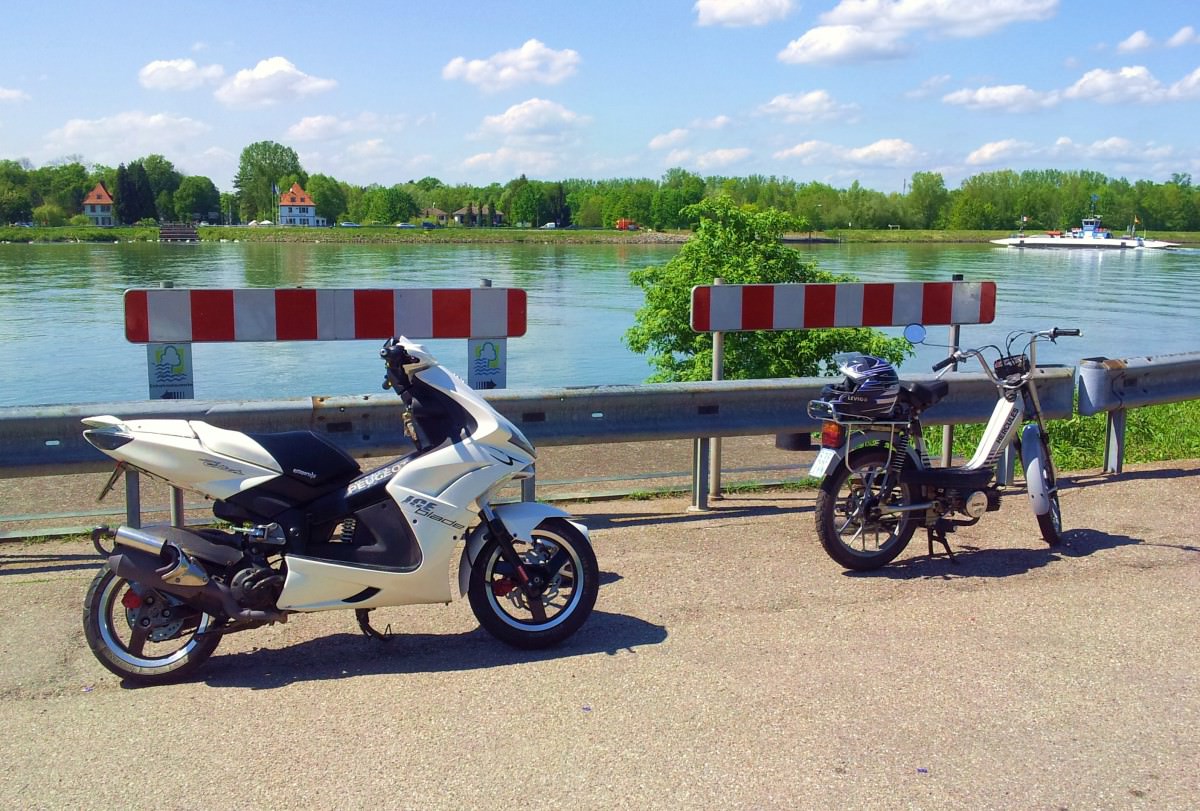 Am und auf dem Rhein :D