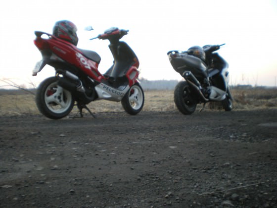 IMGP5347