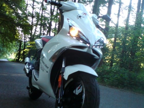 Der Scooter