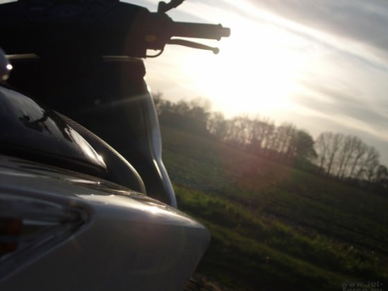 letzter Sonnentag...