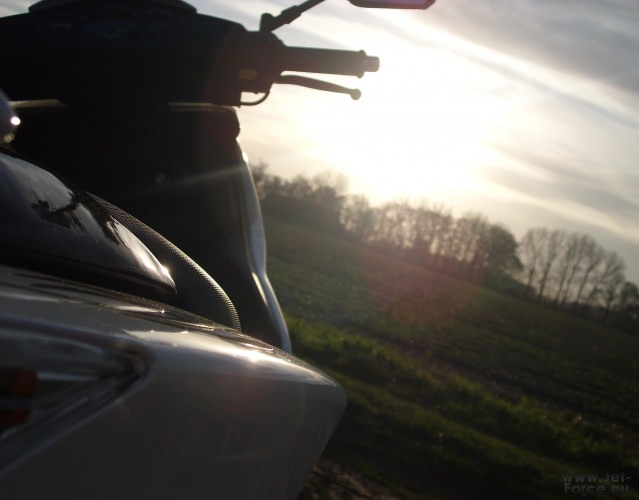 letzter Sonnentag...
