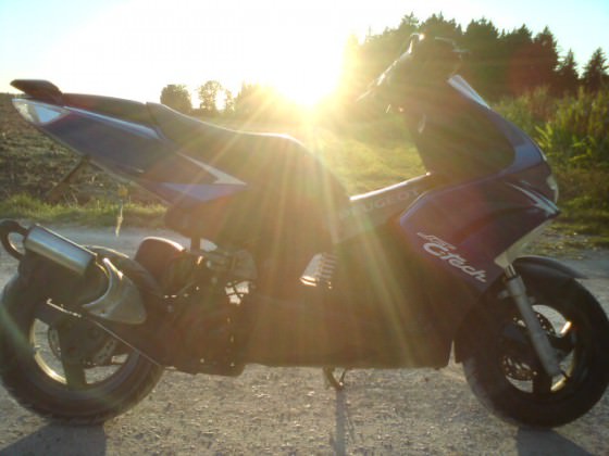 Sunshine